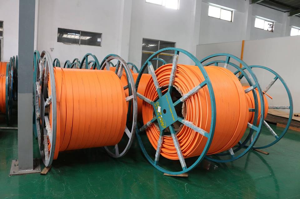 THIẾT BỊ CẦU TRỤC